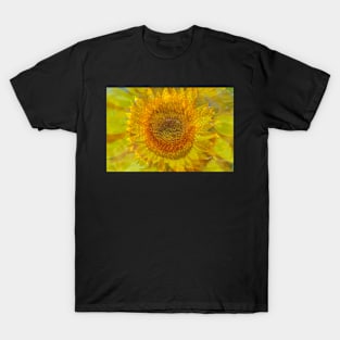 Sunflower, sunflower, abstract, (Helianthus annuus) T-Shirt